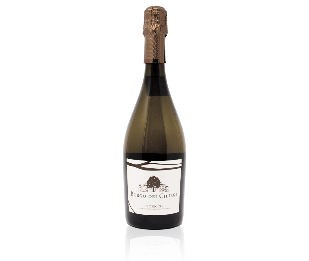 Prosecco-DOC One Bottle Prosecco DOC